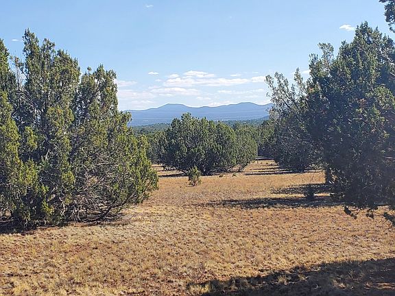 5th image of 84 County Road 3134