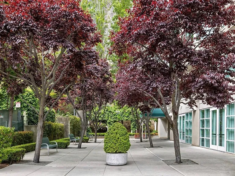 240 Lombard St #829 — Photo 10