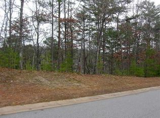 244 Rosen Strasse, Helen, GA 30545