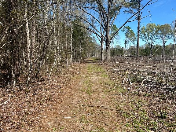 3rd image of 1856 River Rd