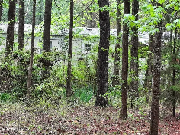378 Harley Drive, Willard, NC 28478