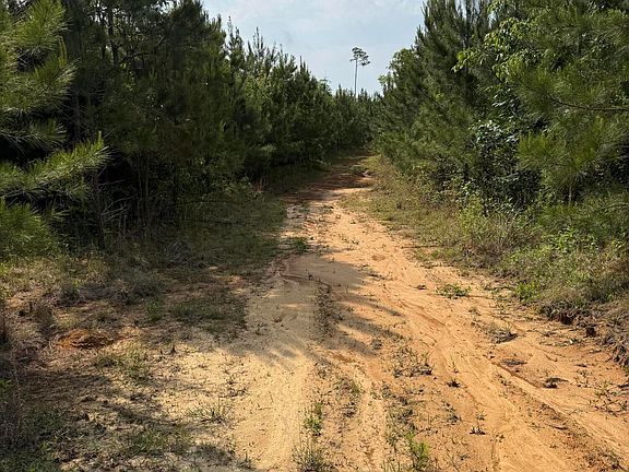 5th image of Scales Rd