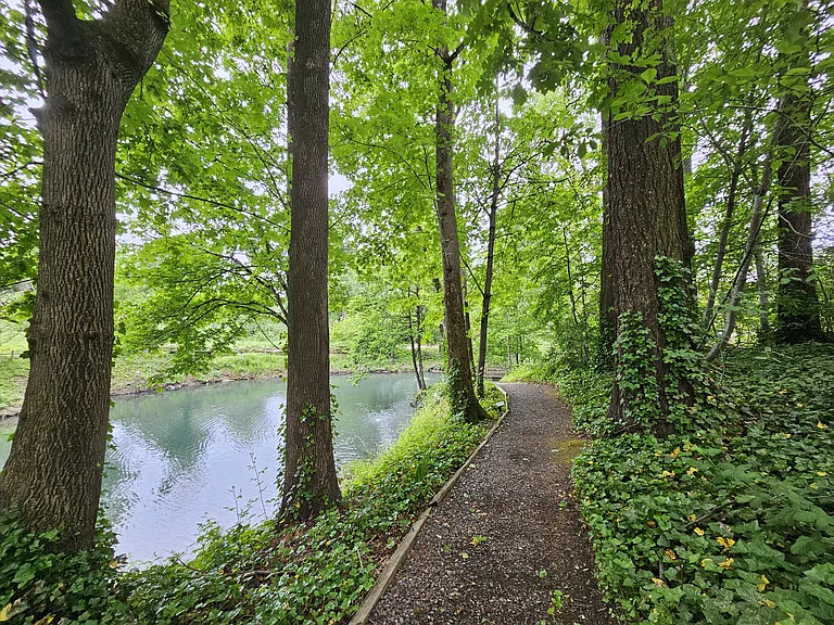Walking Trails around the Pond
