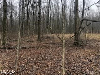 4th image of Crystal Creek Ct