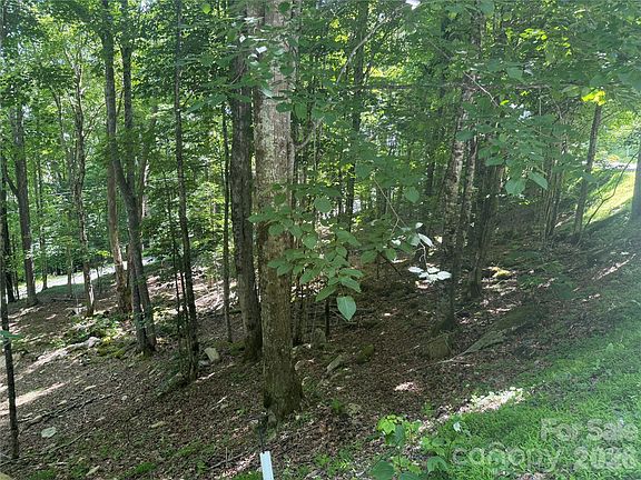 3rd image of 200 Wild Daisy Ln #200