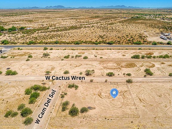 3rd image of 01 W Cactus Wren -- #2
