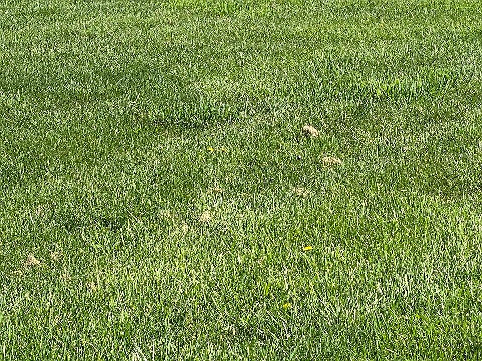 2nd image of LOT 7 Grove Ave