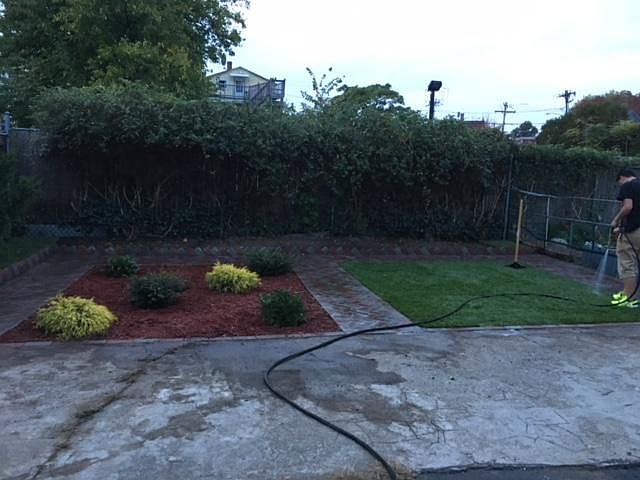 New Lawn and landscape