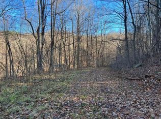 9893 Webster Rd, Summersville, WV 26651