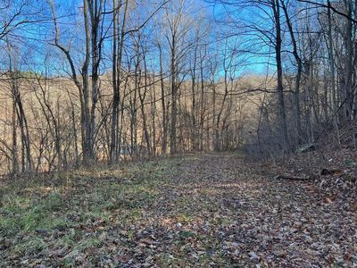 9893 Webster Rd, Summersville, WV, 26651