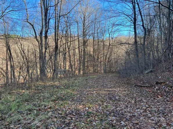 9893 Webster Rd, Summersville, WV 26651