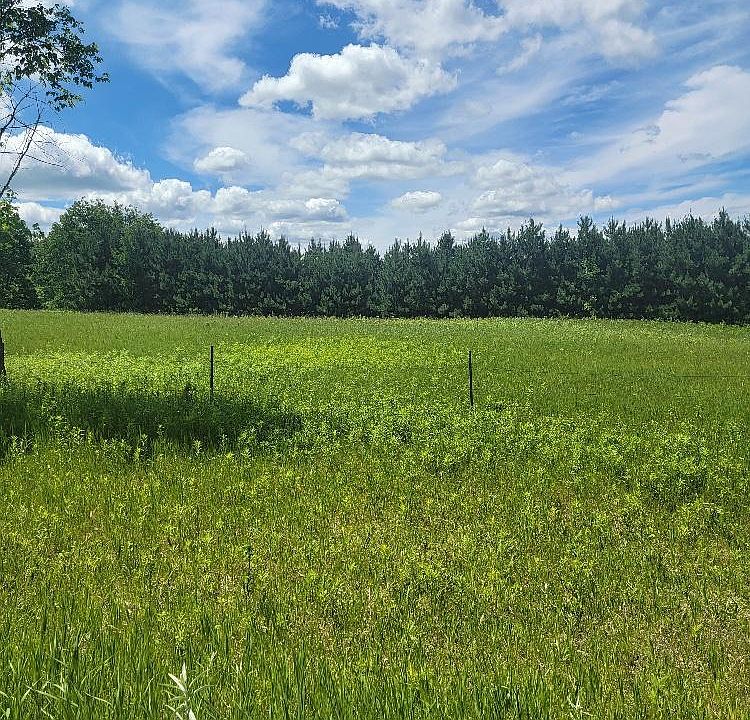 1st image of 145th Ave