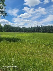 145th Ave, Eagle Bend, MN, 56446