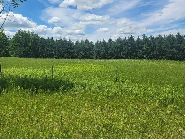 145th Ave, Eagle Bend, MN 56446