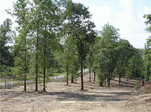 2nd image of 322 Ridge Rd N