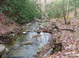 102 Sage Knl, Beech Mountain, NC 28604