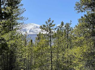 464 Sequoia Dr, Twin Lakes, CO 81251