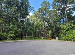 668 McCown Dr, Conway, SC 29526