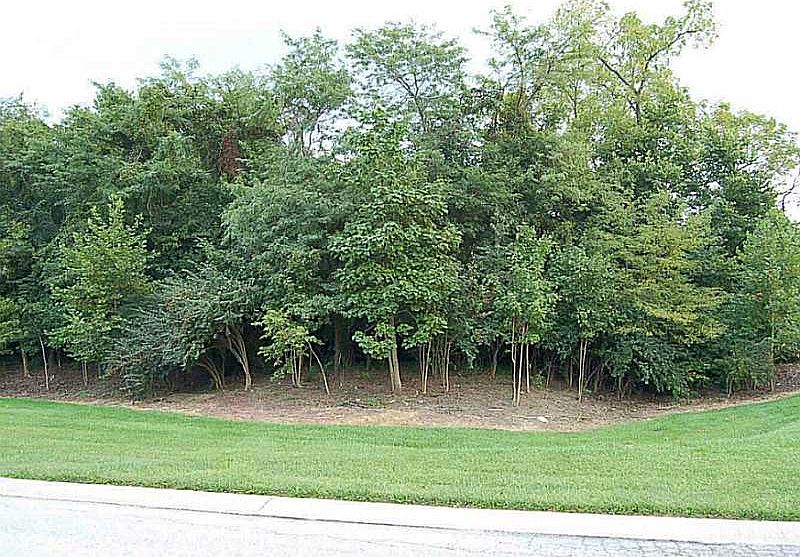 2nd image of 6425 Harting Overlook