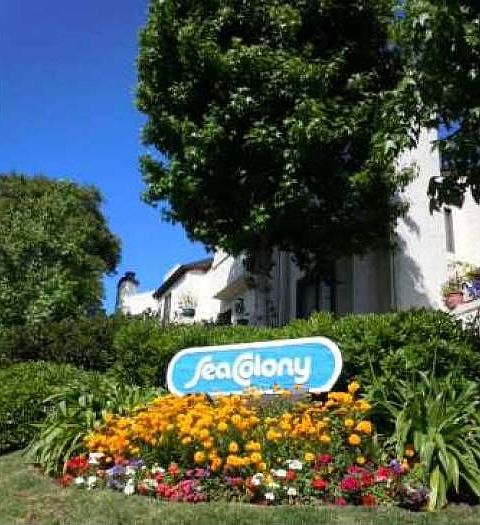 Sea Colony