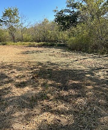 4th image of 17345 Redbud Dr