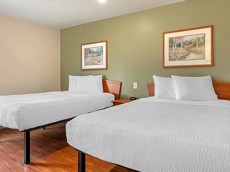 Studio Suite - 2 Full Beds
