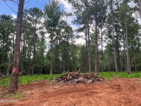 2852 Lovewood Rd, Cottondale, FL 32431