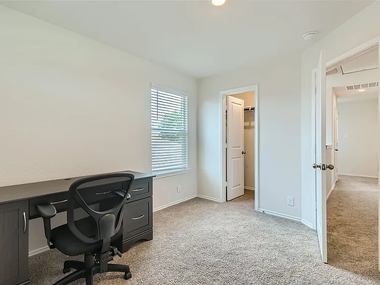 15347 Shortwing — Photo 21