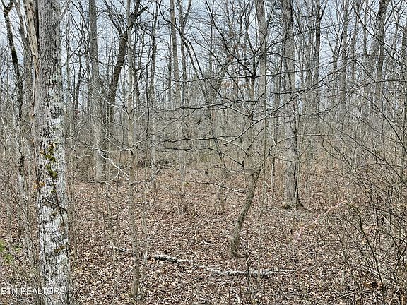 4th image of 36 Tresa St Lot 36