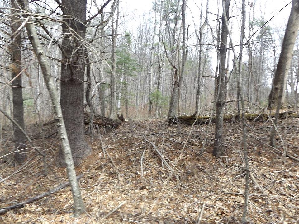 1st image of 619 Shady Ln