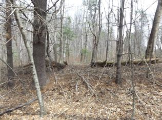 619 Shady Ln, Laurel Fork, VA 24352