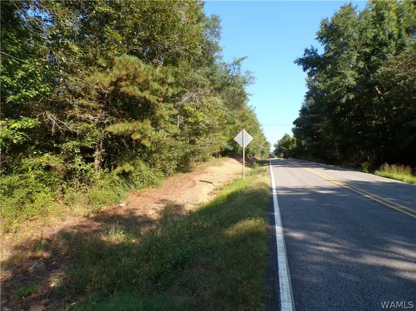 0 Highway 18, Bankston, AL 35542