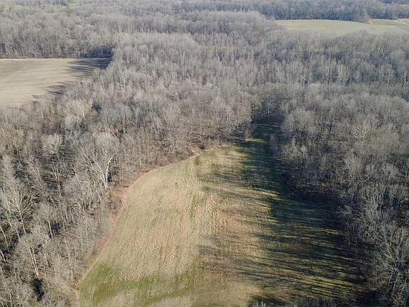 4th image of E Coal Blf