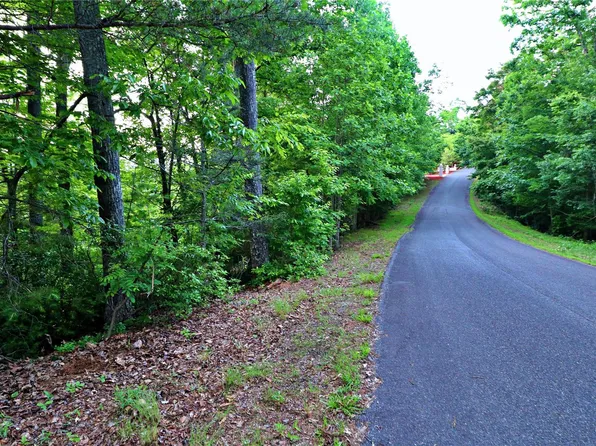 Tbd Hawks Nest Trl, Lake Lure, NC 28746