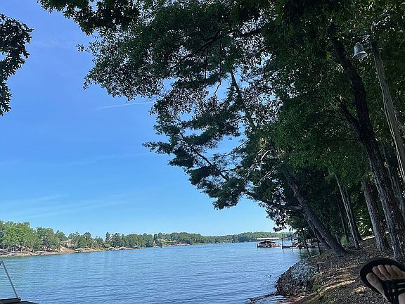 View from hammock