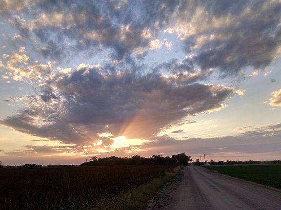 Road Leading to the Home