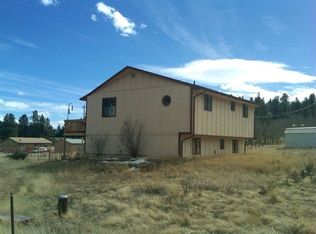 235 Cowan Rd, Bailey, CO 80421
