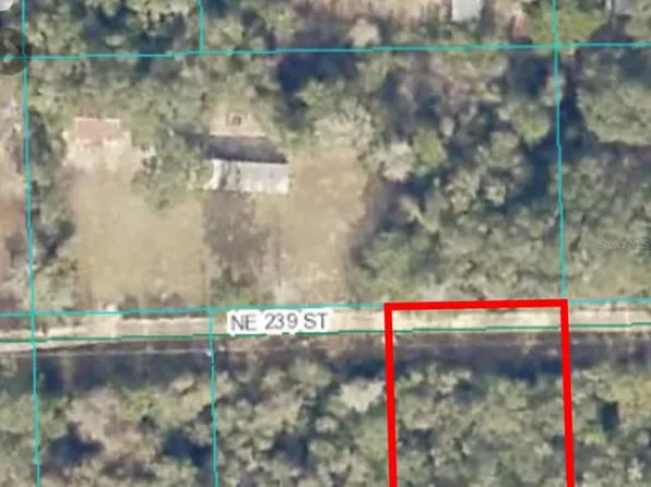 15380 NE 239th St #25, Fort Mc Coy, FL 32134
