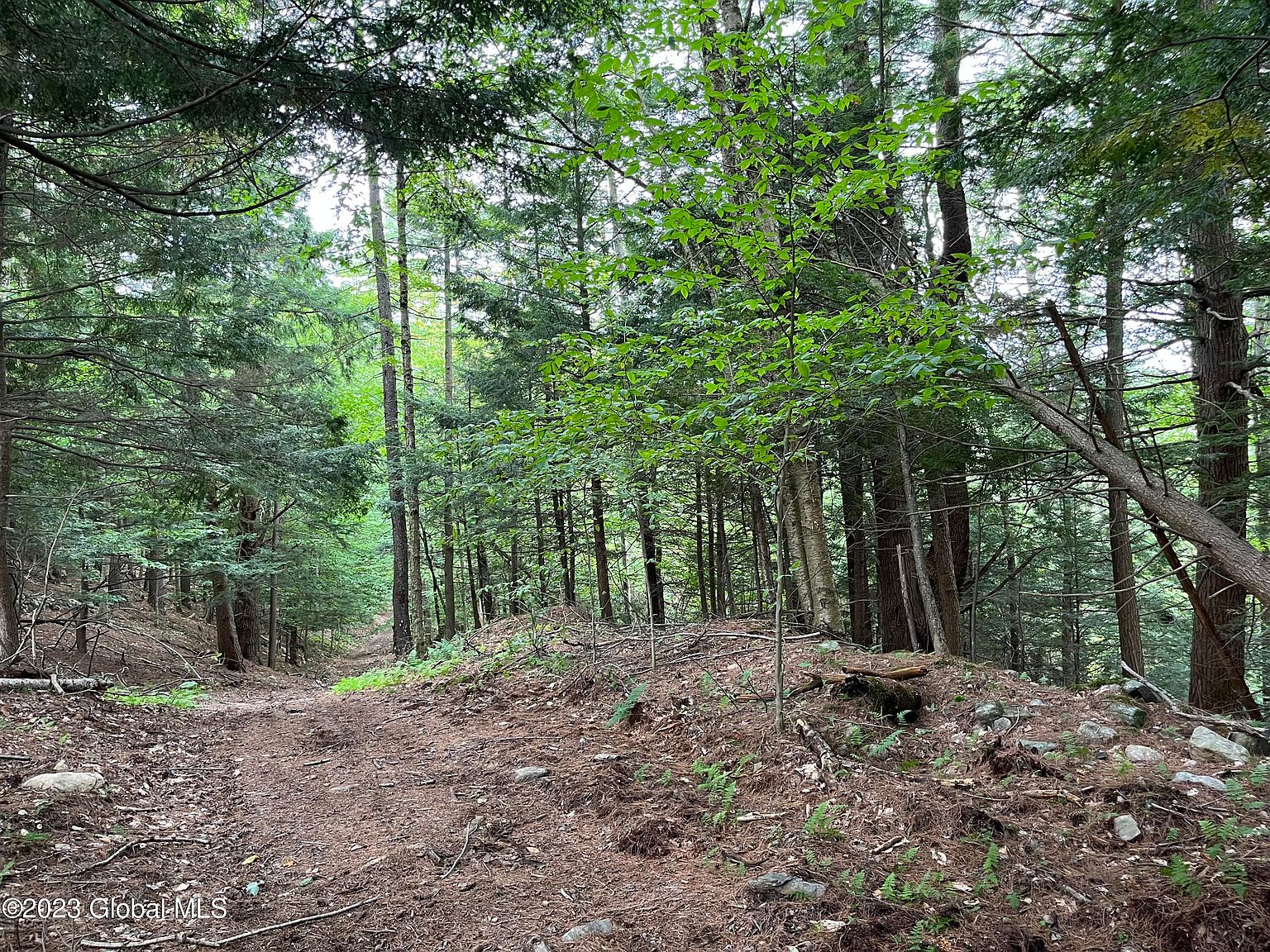 L59 Centerline Road, Middle Grove, NY 12850 Zillow