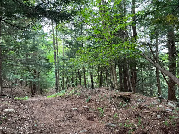 L59 Centerline Road, Providence, NY 12025