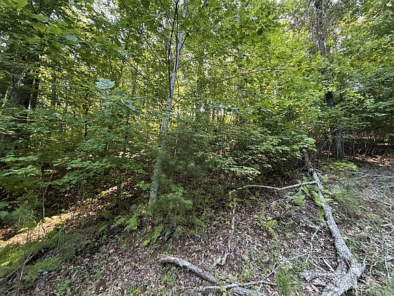 4th image of LOT 6&7 Mill Ridge Rd