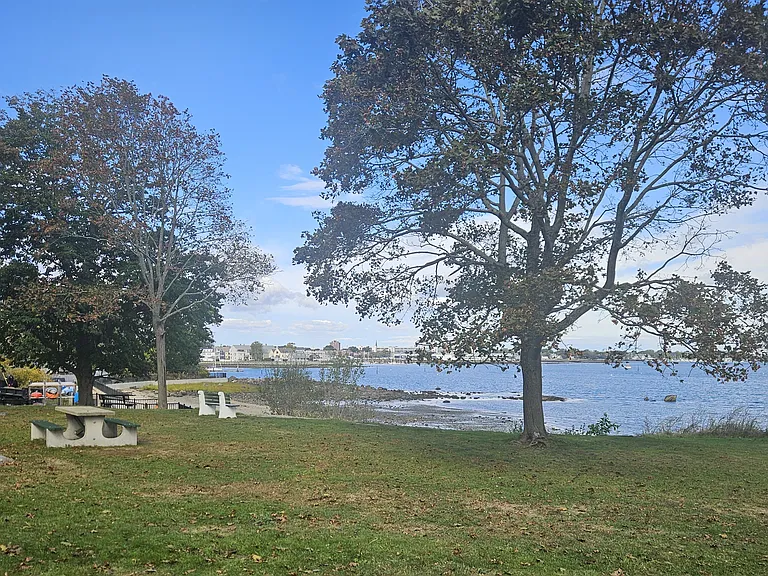 Forest River Park