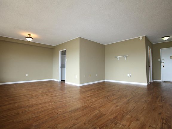 Dining/Living room