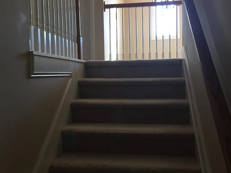 453 Misty Meadow Pl — Photo 6