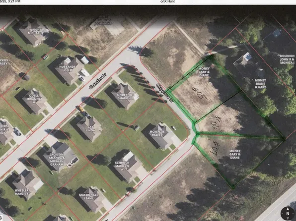 9606 NE Chippewa Dr, Mancelona, MI 49659