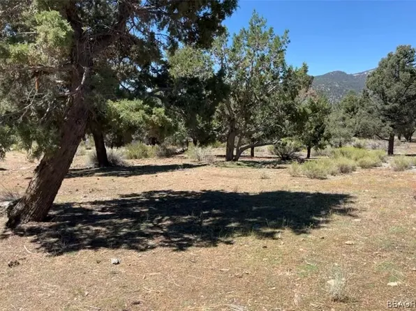 0 Golden Rod Ave, Big Bear City, CA 92314