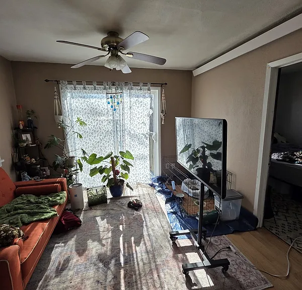 411 E Denver St #1 — Photo 5