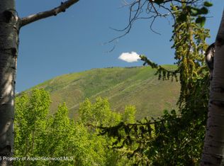 3801 McLain Flats Rd, Aspen, CO 81611