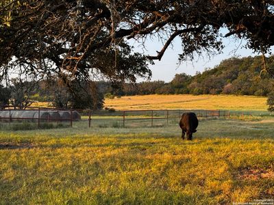 11889 home place, Streeter, TX, 76856