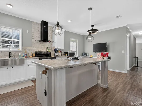 223 Skyline Dr, Lady Lake, FL 32159